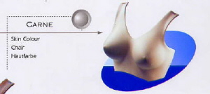 ATSL 1  CA