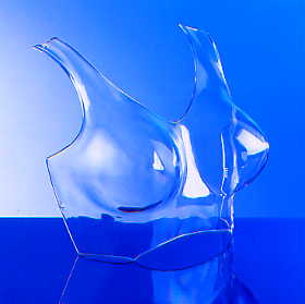 ATSL 91